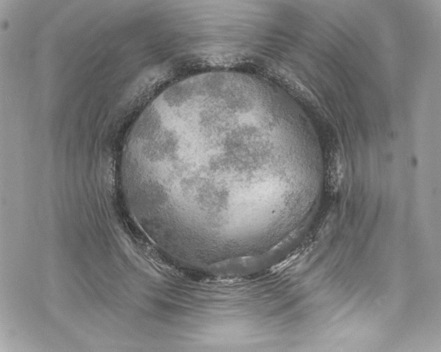 X0000075830639200609291423