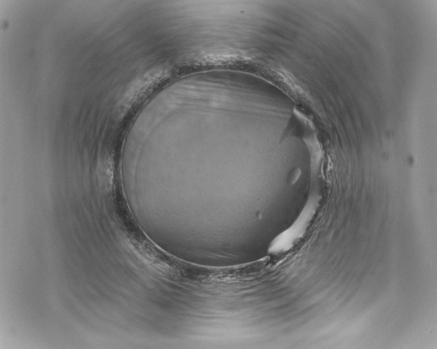 X0000075830640200609291423