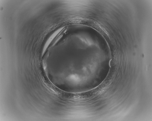 X0000075830641200609291423