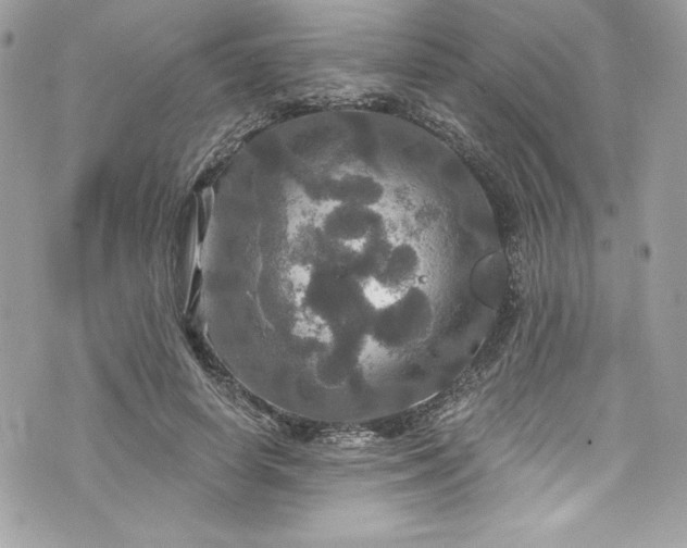 X0000075830642200609291423