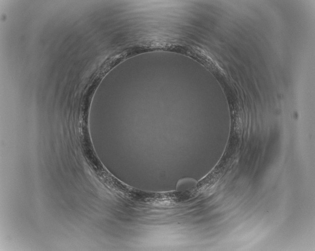 X0000075830643200609291423