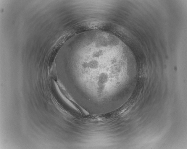 X0000075830646200609291423