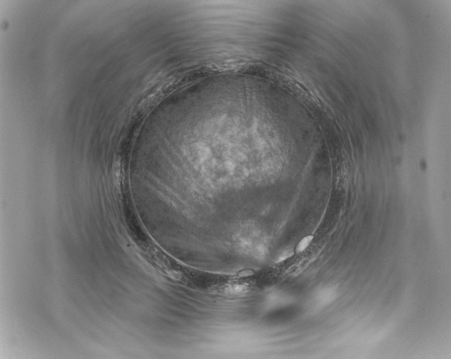 X0000075830647200609291423