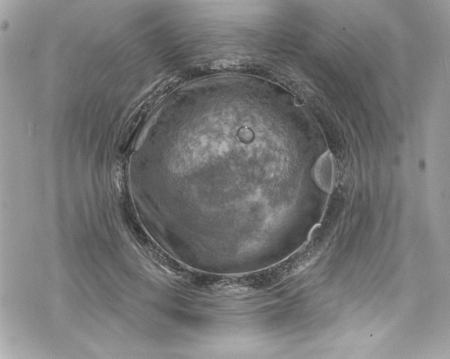 X0000075830648200609291423