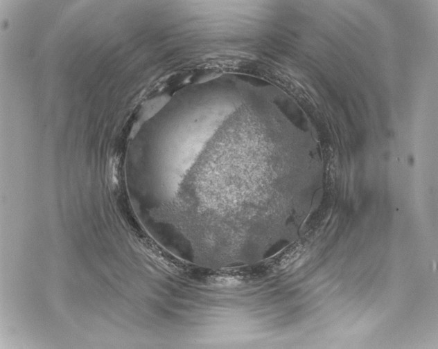 X0000075830649200609291423