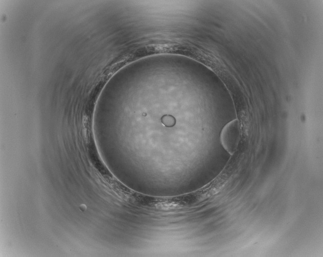 X0000075830650200609291423