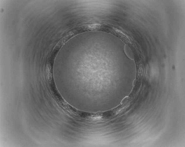 X0000075830651200609291423