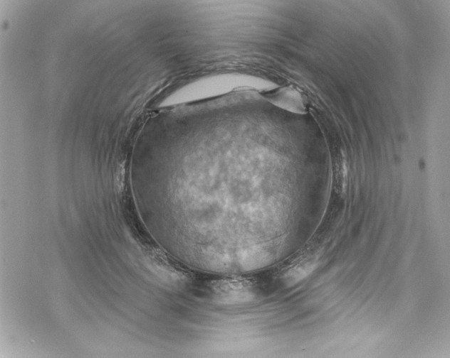 X0000075830652200609291423