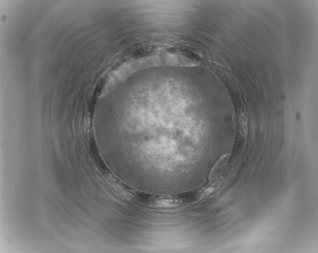 X0000075830657200609291423