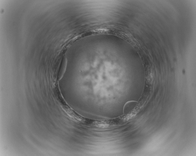 X0000075830658200609291423