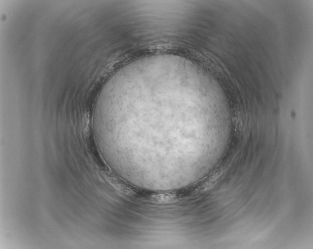 X0000075830660200609291423