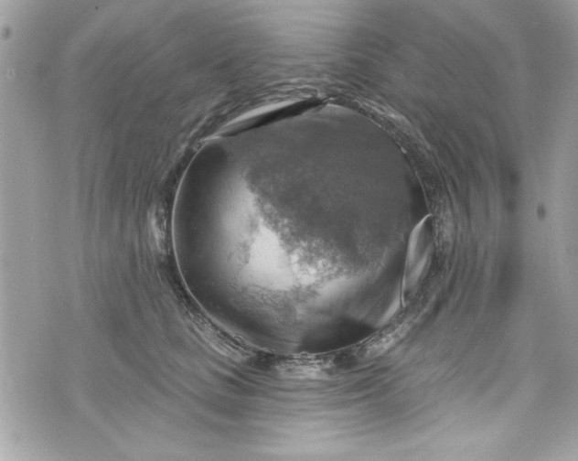 X0000075830661200609291423