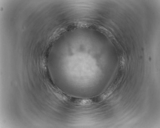 X0000075830663200609291423