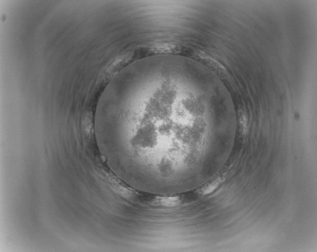 X0000075830665200609291423