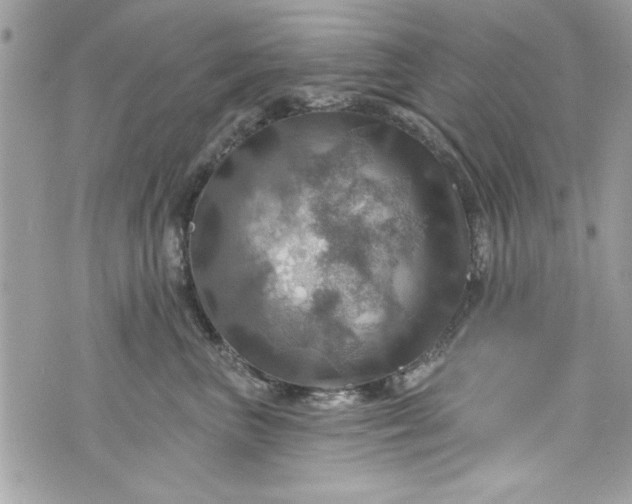 X0000075830667200609291423