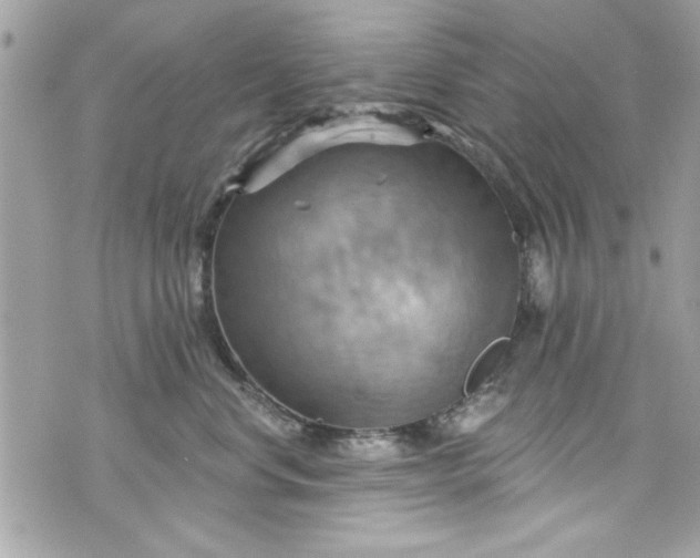 X0000075830668200609291423