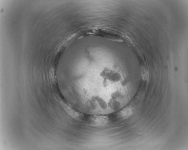 X0000075830670200609291423