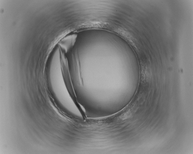 X0000075830674200609291423