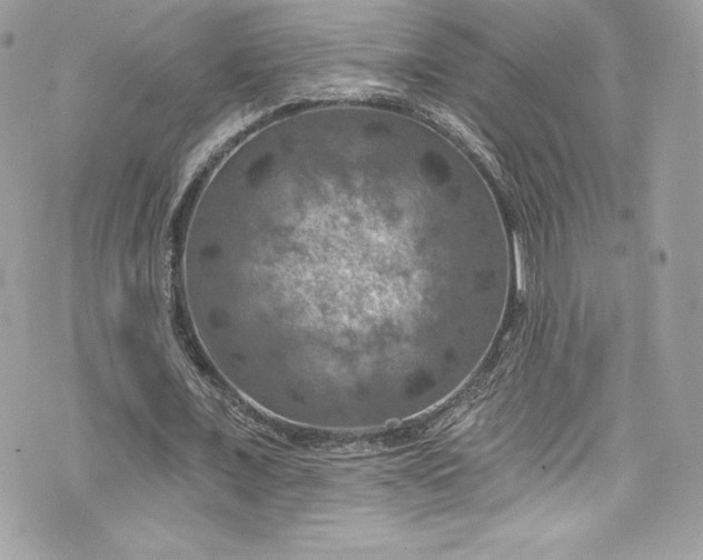 X0000075830675200609291422