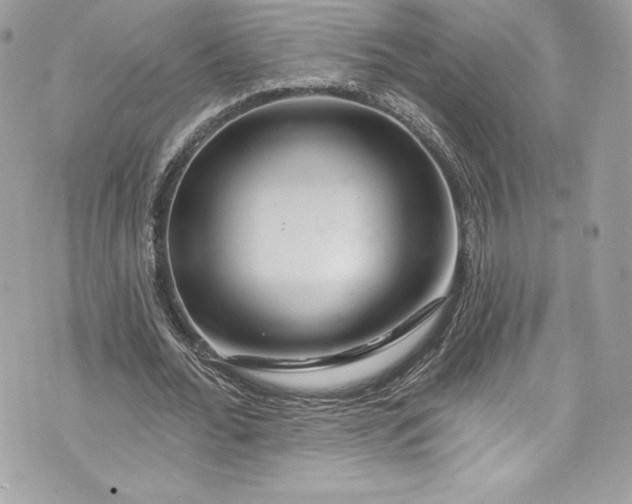 X0000075830676200609291422