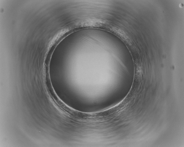 X0000075830678200609291422