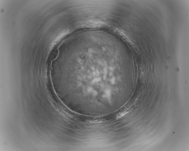 X0000075830679200609291422