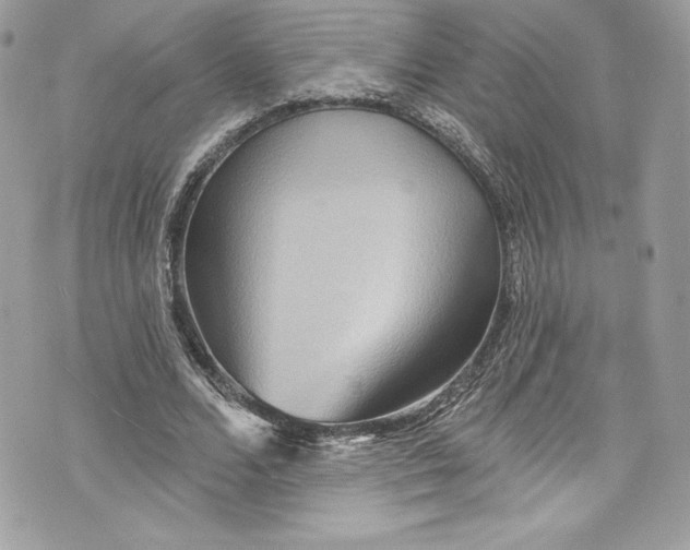 X0000075830680200609291422