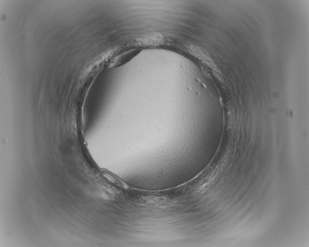 X0000075830681200609291422