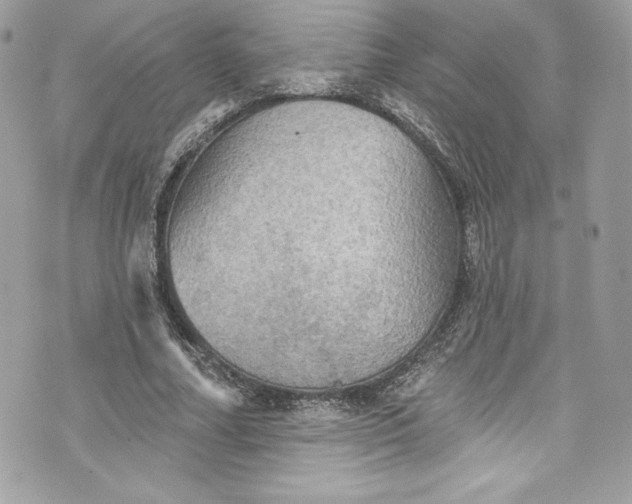 X0000075830682200609291422