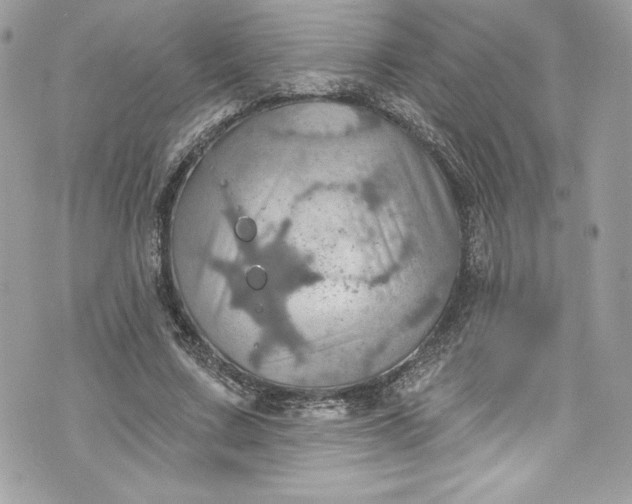 X0000075830683200609291422