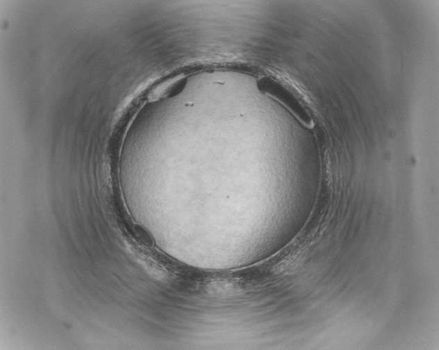 X0000075830684200609291422