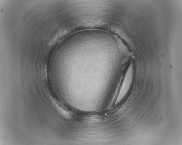 X0000075830685200609291422