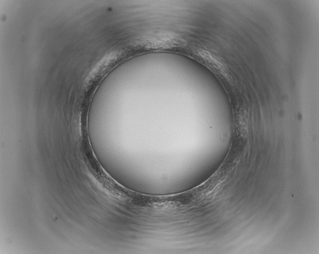 X0000075830686200609291422