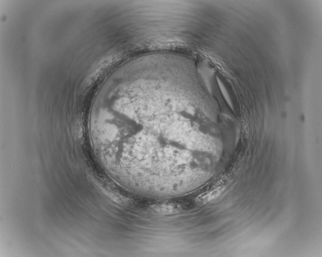 X0000075830687200609291422