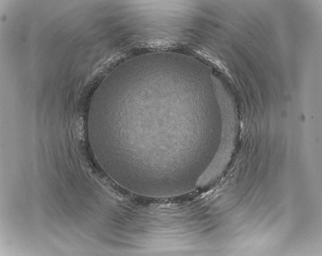 X0000075830689200609291422