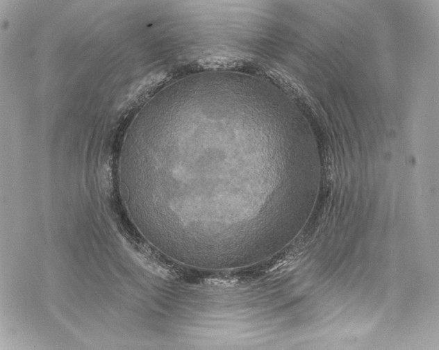 X0000075830690200609291422