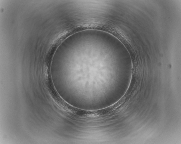 X0000075830692200609291422