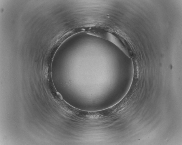 X0000075830693200609291422