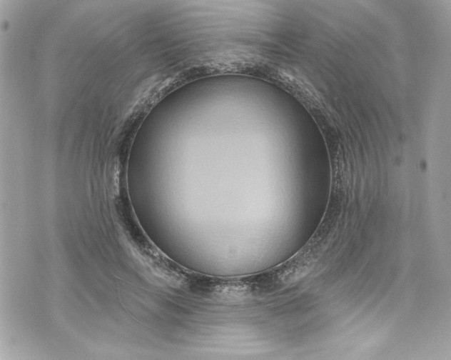 X0000075830694200609291422