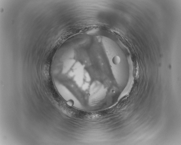 X0000075830695200609291422