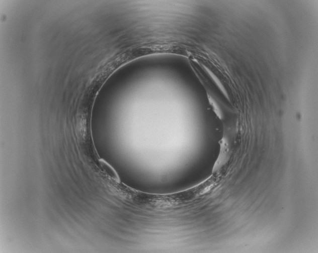 X0000075830697200609291422