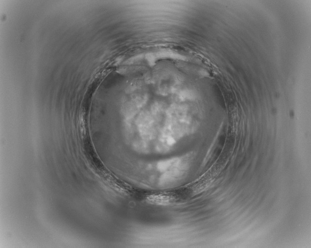 X0000075830699200609291422