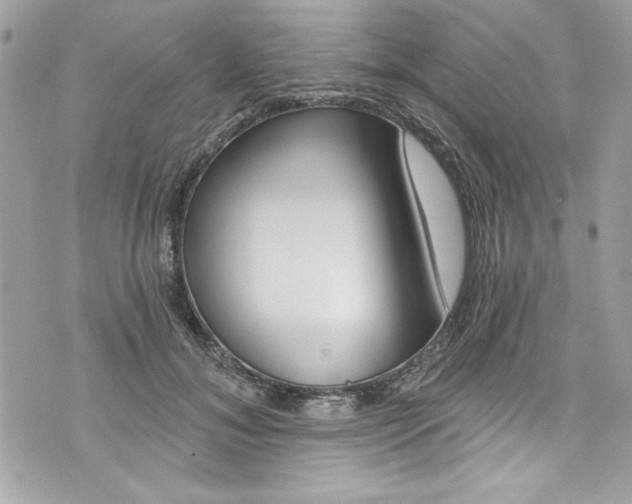 X0000075830700200609291422