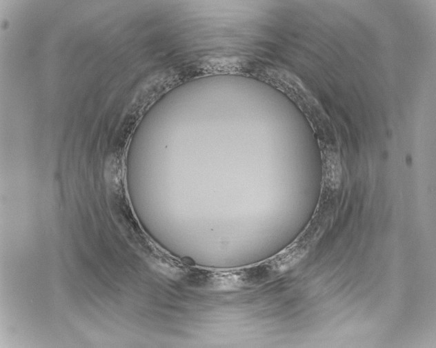 X0000075830701200609291422