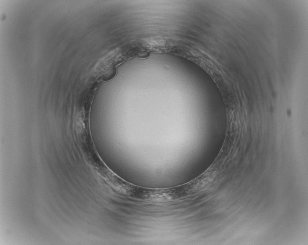 X0000075830702200609291422