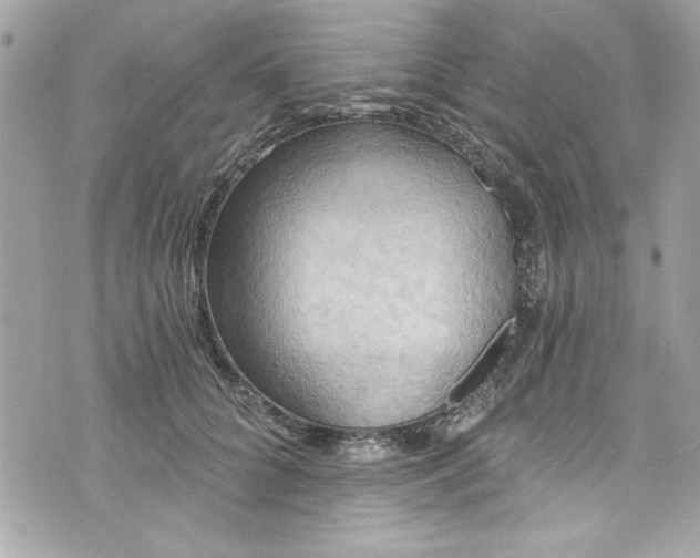 X0000075830704200609291422