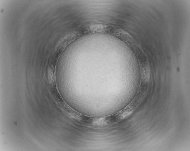 X0000075830705200609291422