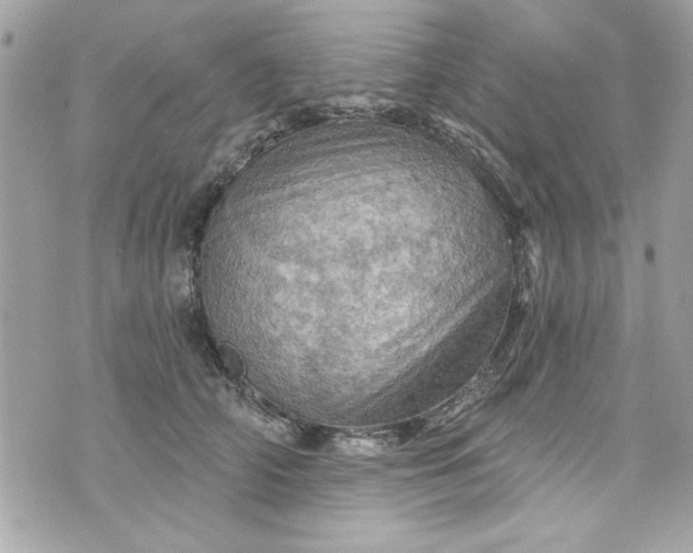 X0000075830706200609291422