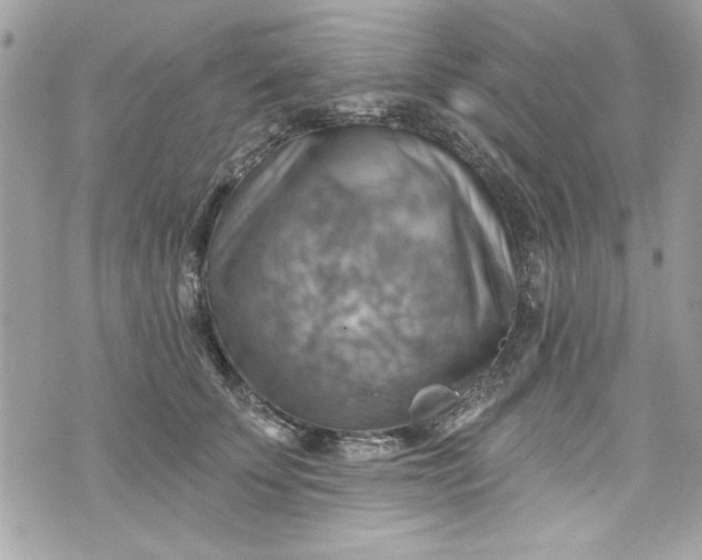 X0000075830707200609291422