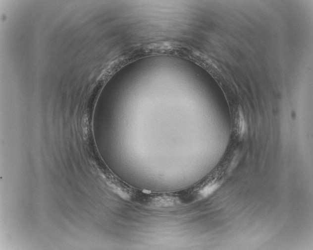 X0000075830708200609291422